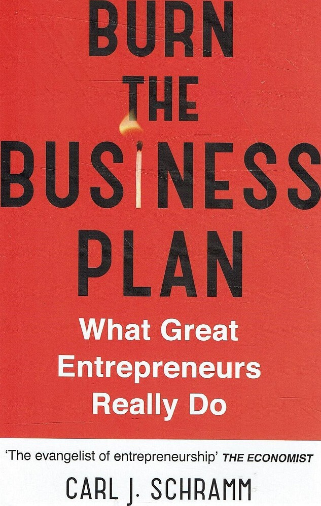 burn the business plan summary