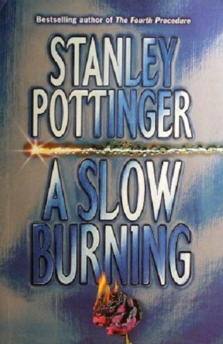 A Slow Burning Pottinger Stanley | Marlowes Books