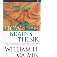 How Brains Think. Evolving Intelligence, Then And Now