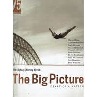 The Big Picture. Diary Of A Nation