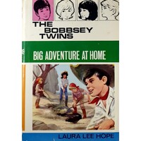The Bobbsey Twins Big Adventure At Home