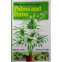 How To Care For Your Palms And Ferns