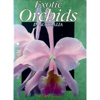 Exotic Orchids In Australia