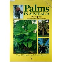 Palms In Australia