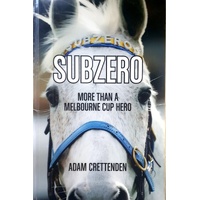 Subzero. More Than A Melbourne Cup Hero