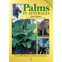 Palms In Australia