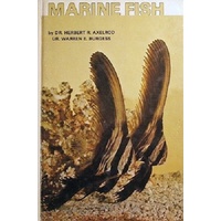 Marine Fish