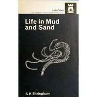 Life In Mud And Sand