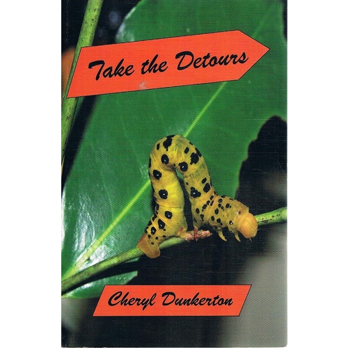 Take The Detours