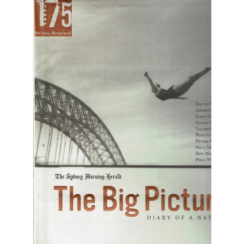 The Big Picture. Diary Of A Nation