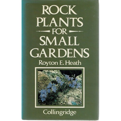 Rock Plants For Small Gardens