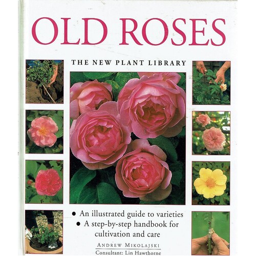 Old Roses