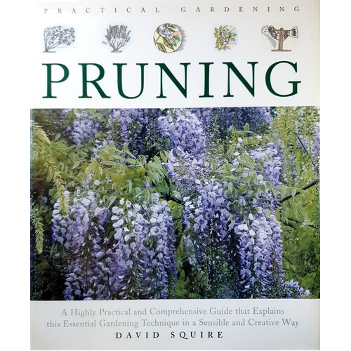 Pruning