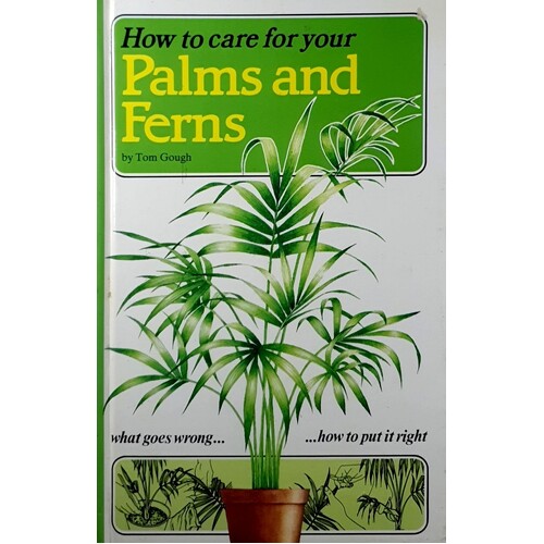 How To Care For Your Palms And Ferns