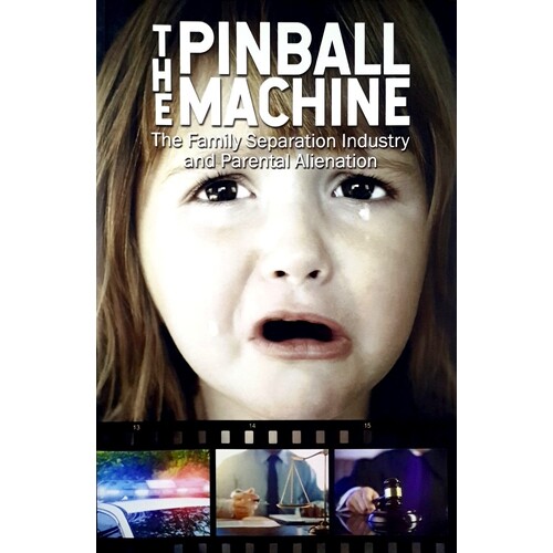 The Pinball Machine. The Family Separation Industry And Parental Alienation