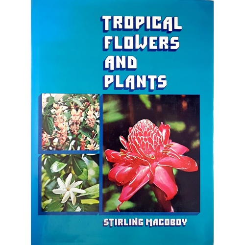 Tropical Flowers And Plants