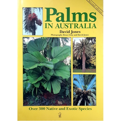 Palms In Australia