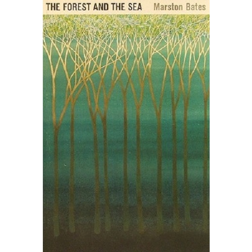 The Forest And The Sea