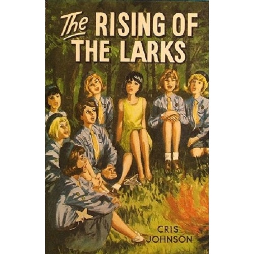 The Rising Of The Larks