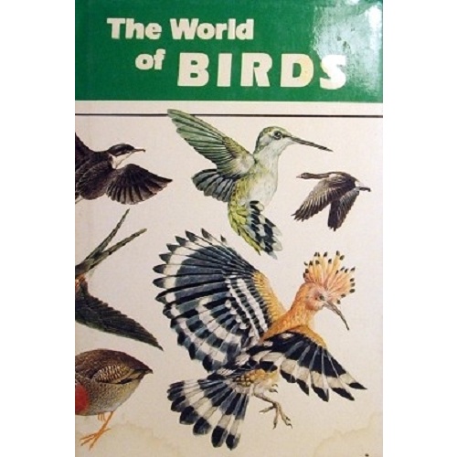 The World Of Birds