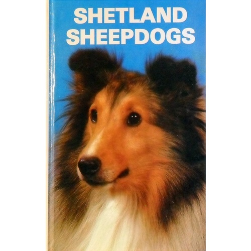 Shetland Sheepdogs